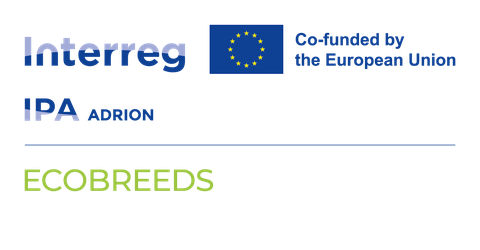 ECOBREEDS