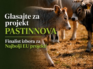Podržite PASTINNOVA-u u izboru za Najbolji EU projekt 2026.