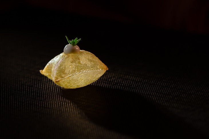 Proljeće 2026: Otvorene prijave za novi ciklus radionica