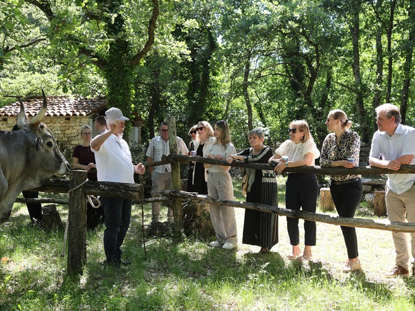 Svečano proglašenja Dana autohtonih Pasmina Istre_22.05.2026._Svetvinčenat